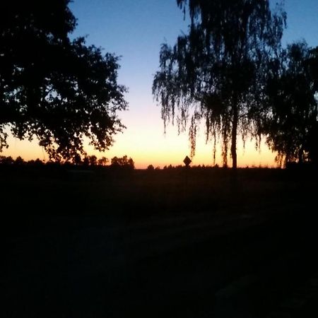 Entspannen & Wohlfuehlen In Der Lueneburger Heide Vierhofen Exteriér fotografie
